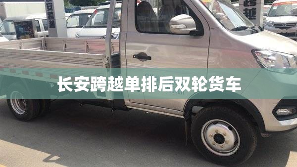 长安跨越单排后双轮货车/长安单排后双轮小货车