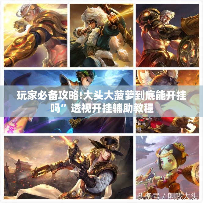 玩家必备攻略!大头大菠萝到底能开挂吗”透视开挂辅助教程