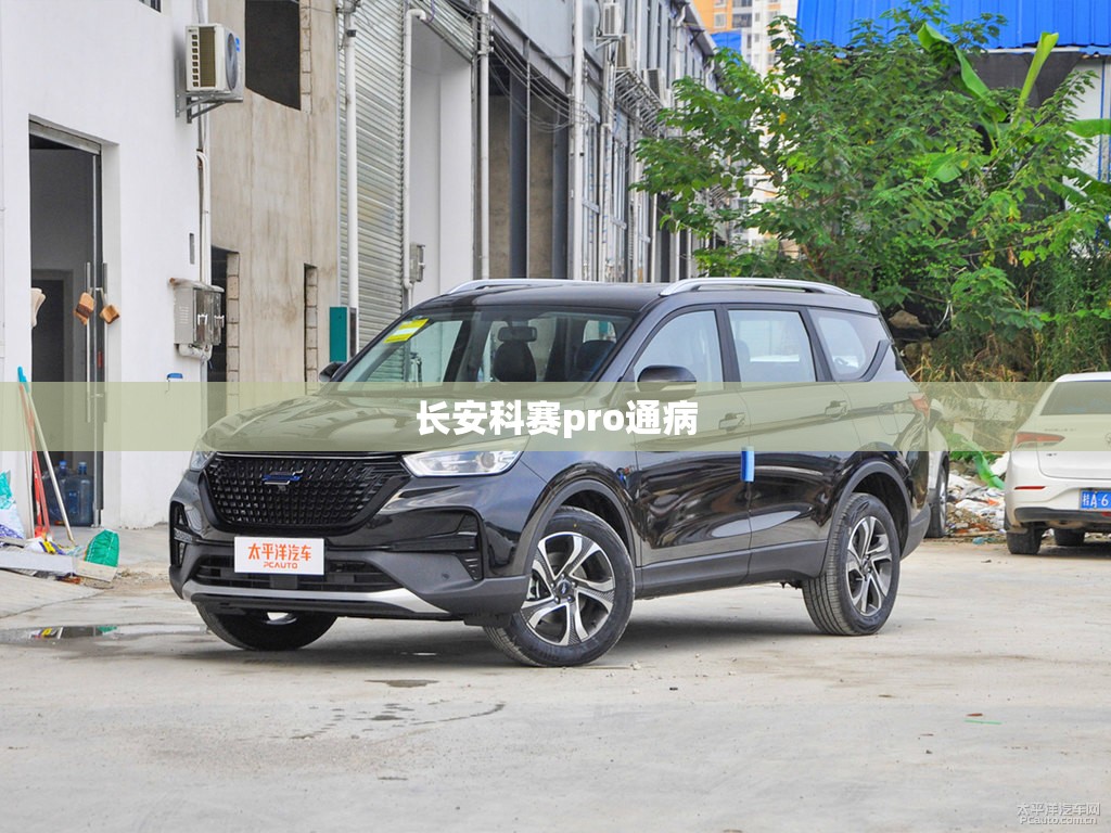 【长安科赛pro通病/长安科赛pro吧】