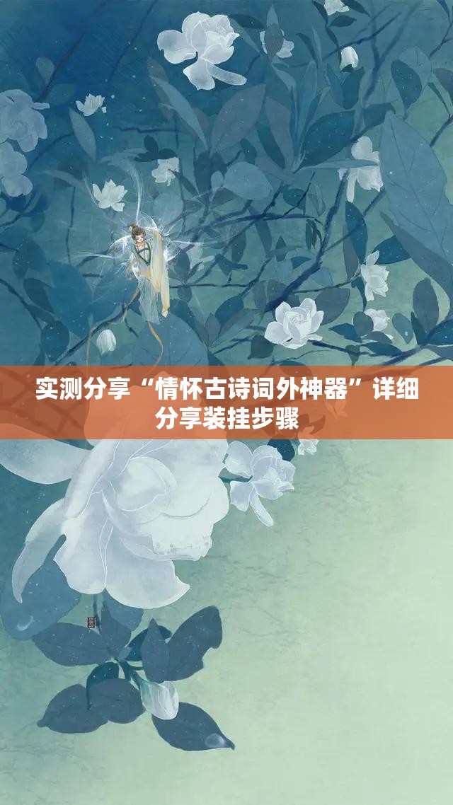 实测分享“情怀古诗词外神器”详细分享装挂步骤