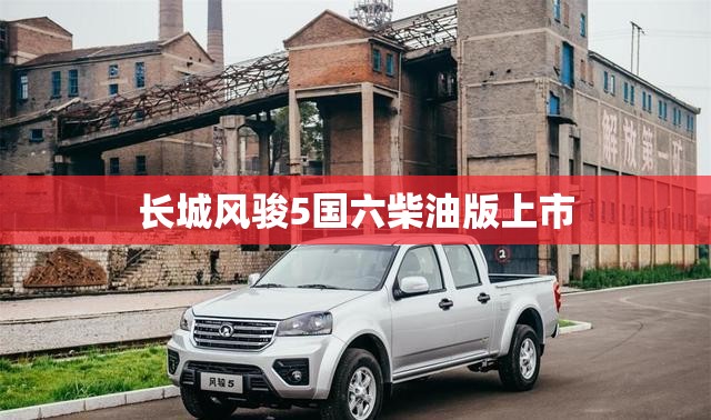 长城风骏5国六柴油版上市