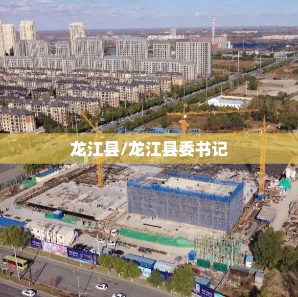 龙江县/龙江县委书记