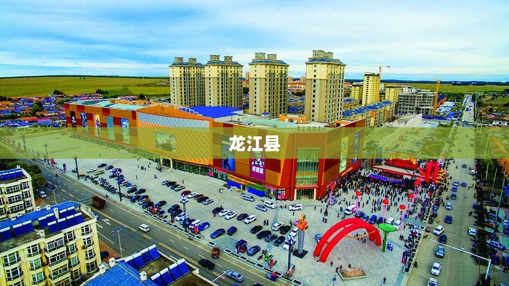 龙江县/龙江县委书记