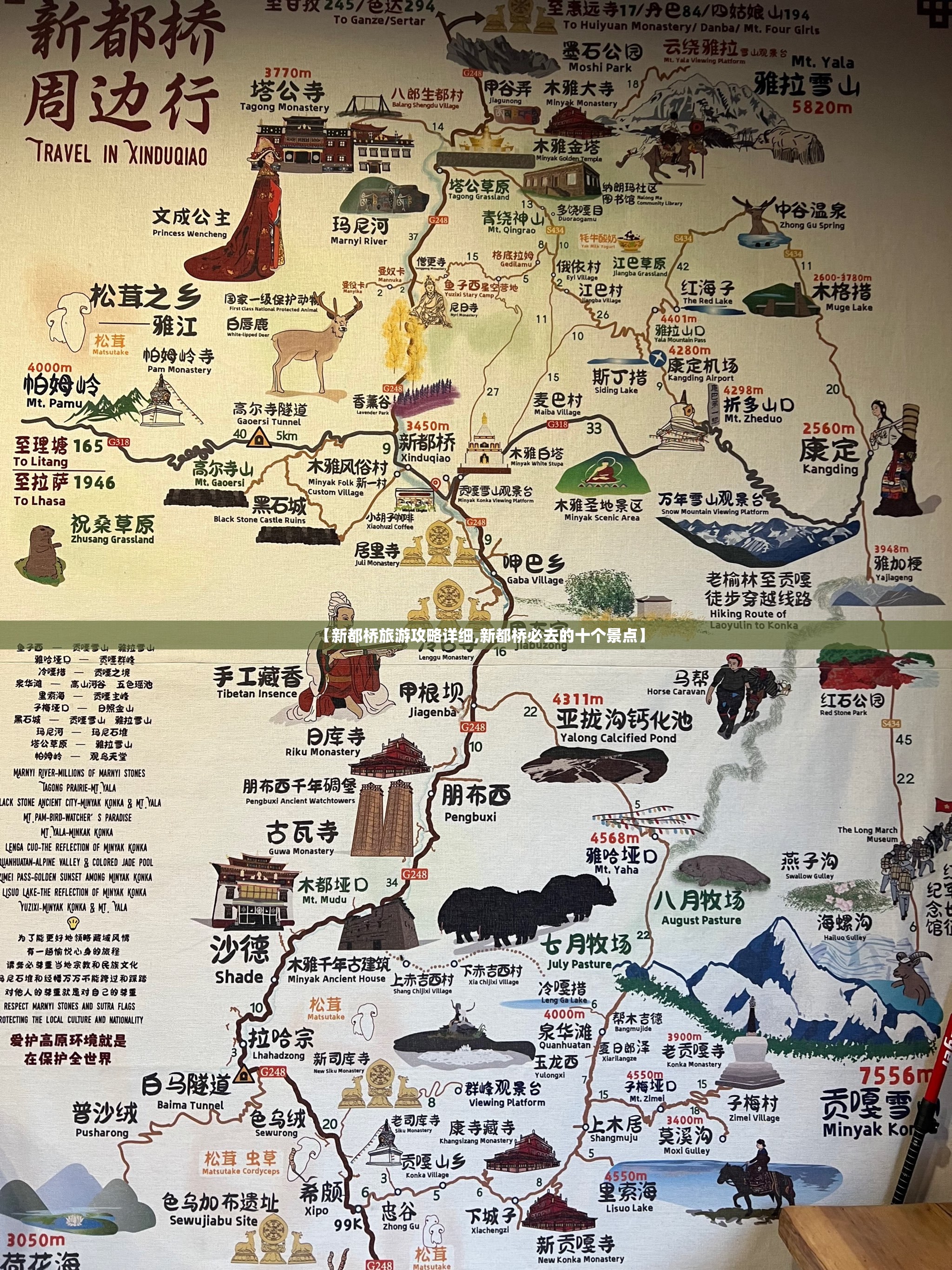 玩家辅助神器“玉溪娱乐室捞腌菜开挂图片”通用版下载教程