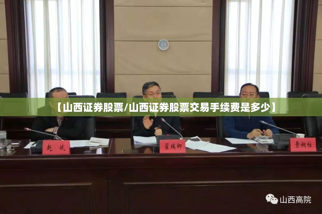 we丫vv6是什么牌车（we丫vv7是什么牌的车）