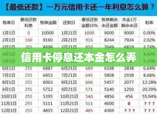 新款奥迪rs7上市时间
