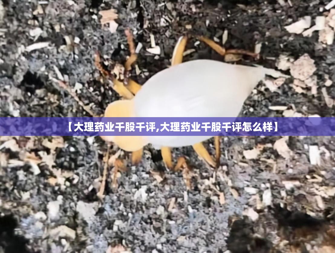 自动档轿车起步、停车的正确步骤分别是怎样的？