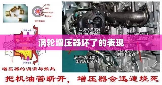 推荐一款“拱趴大菠萝如何看牌面”原来有挂 难怪会一直输
