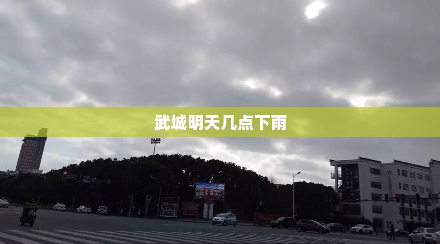 武城明天几点下雨