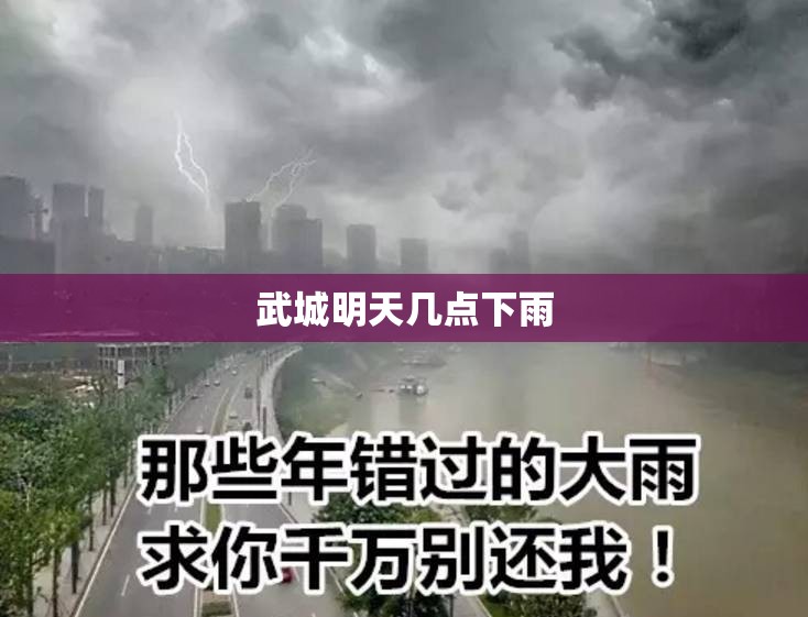 玩家辅助神器:“壹起跑得快有挂吗”详细辅助软件教程
