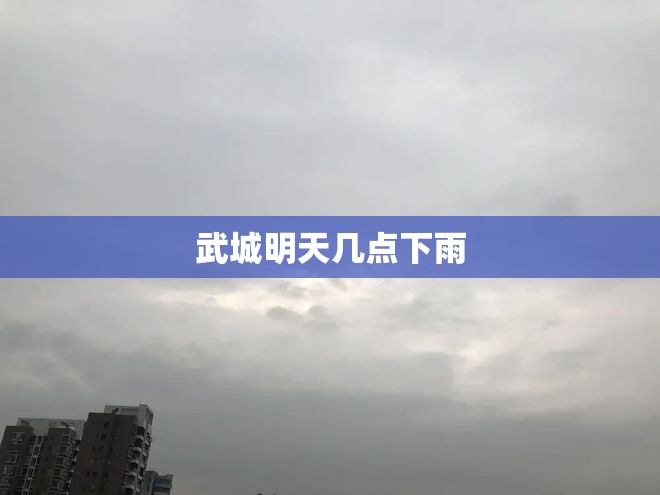 武城明天几点下雨