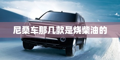 尼桑车那几款是烧柴油的