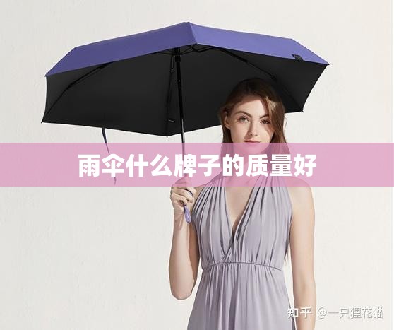 雨伞什么牌子的质量好,雨伞什么牌子的质量好又好看