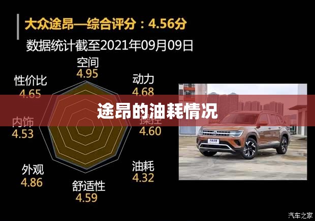 途昂的油耗情况,大众途昂的实际油耗
