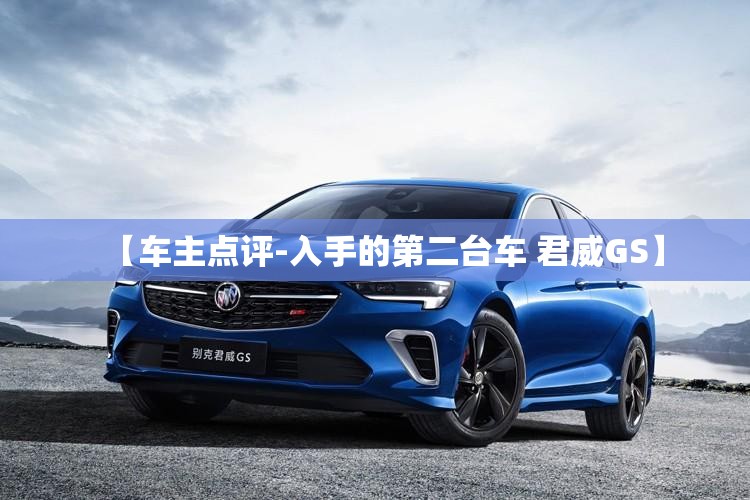 polo两厢是尽情还是进取,两厢polo叫什么