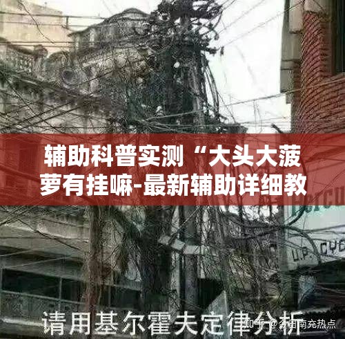 辅助科普实测“大头大菠萝有挂嘛-最新辅助详细教程 辅助科普实测“大头大菠萝有挂嘛-最新辅助详细教程
