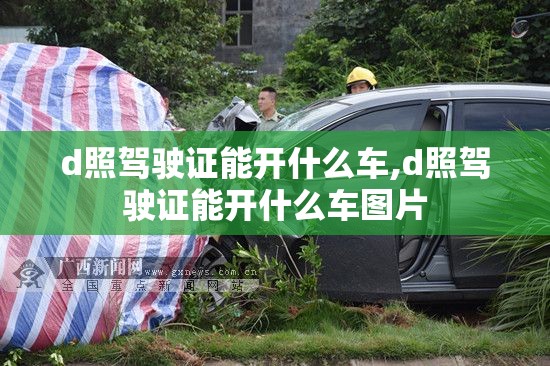 d照驾驶证能开什么车,d照驾驶证能开什么车图片 d照驾驶证能开什么车,d照驾驶证能开什么车图片