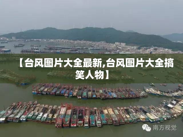 【红标思域2021新款报价及图片,红标思域现在售价多少钱最新款】