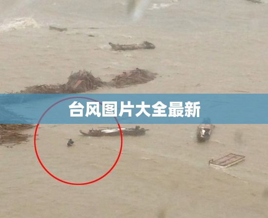 【台风图片大全最新,台风图片大全搞笑人物】
