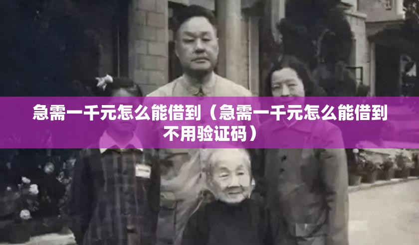 急需一千元怎么能借到（急需一千元怎么能借到不用验证码）