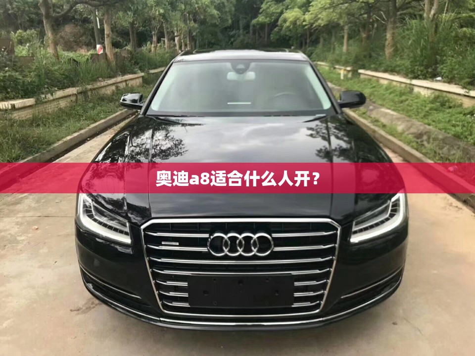 奥迪a8适合什么人开? 奥迪a8适合什么人开?