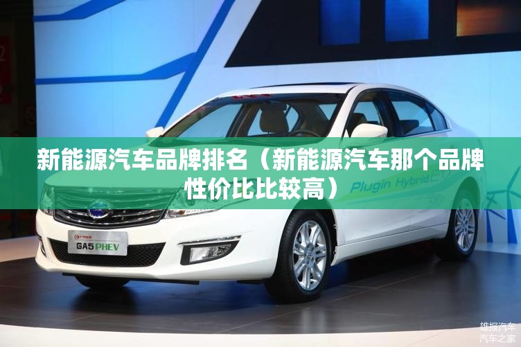 新能源汽车品牌排名（新能源汽车那个品牌性价比比较高）