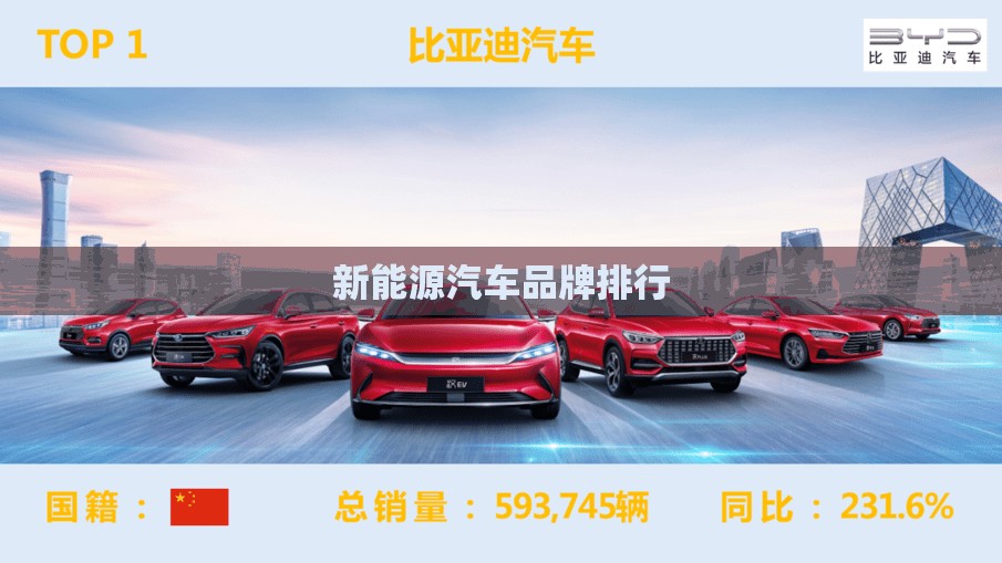 新能源汽车品牌排名（新能源汽车那个品牌性价比比较高）