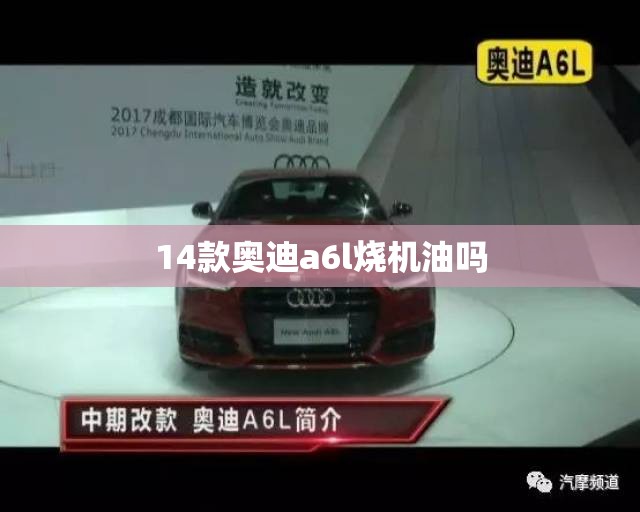 万能开挂辅助“八闽状元郎有挂吗”全程揭秘开挂教程