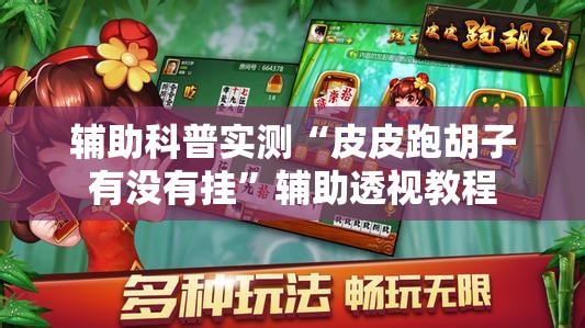 辅助科普实测“皮皮跑胡子有没有挂”辅助透视教程