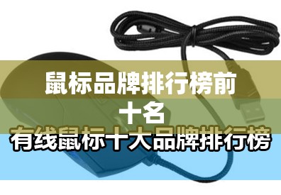 鼠标品牌排名榜前十名（哪个牌子的鼠标质量好）