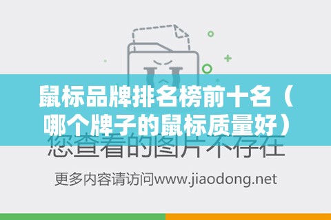 鼠标品牌排名榜前十名（哪个牌子的鼠标质量好）