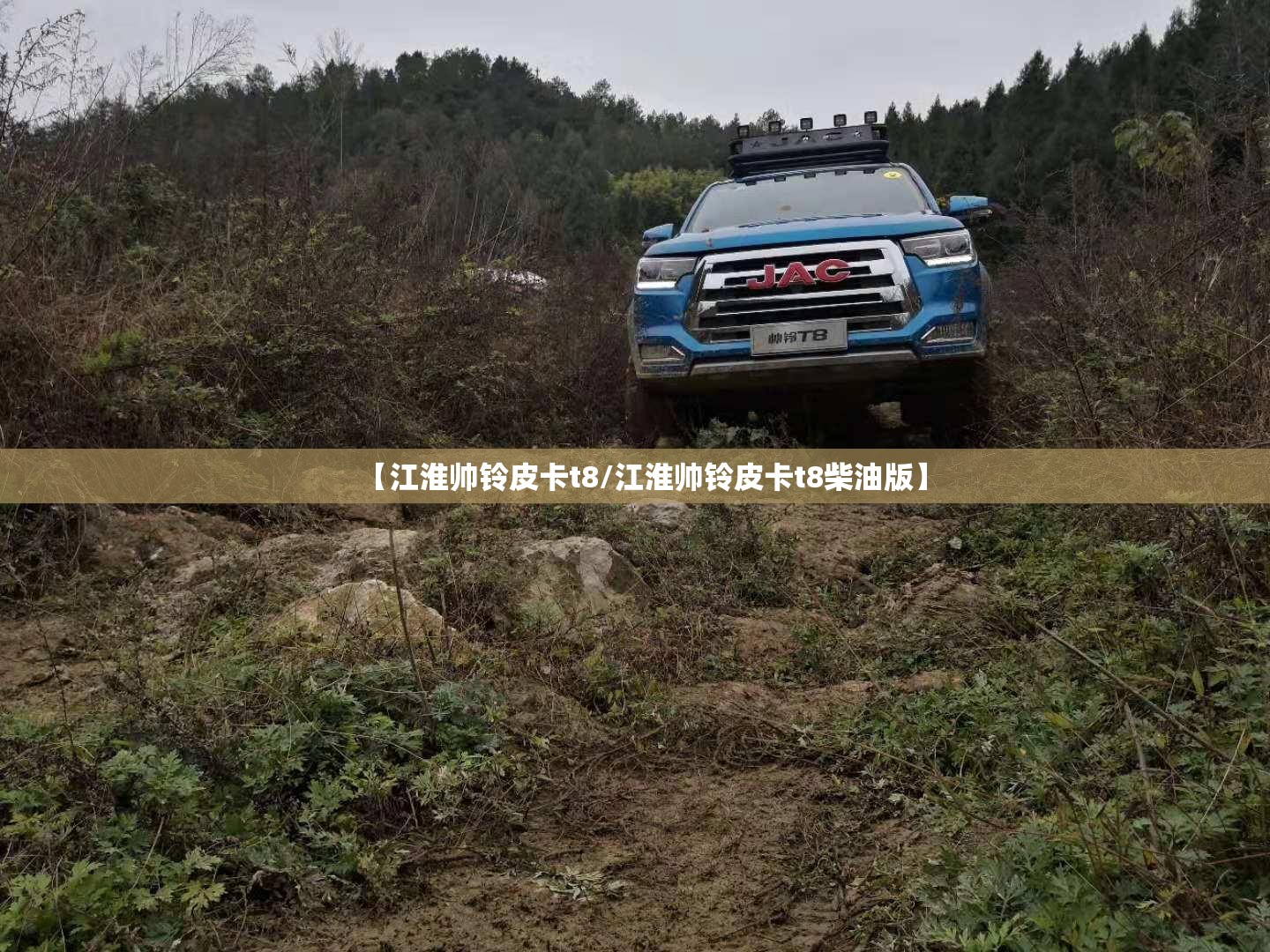 【江淮帅铃皮卡t8/江淮帅铃皮卡t8柴油版】