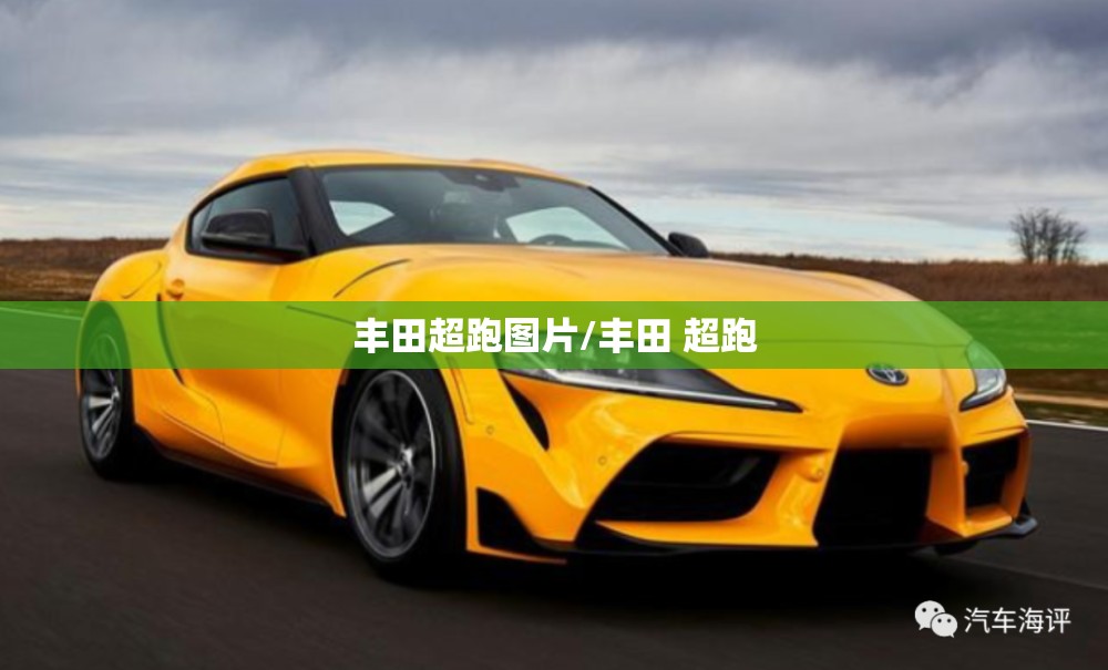 玩家必备攻略!掌游大厅怎么开挂!最新火爆必备系统