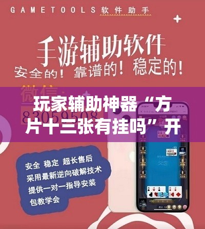 玩家辅助神器“方片十三张有挂吗	”开挂(透视)辅助教程