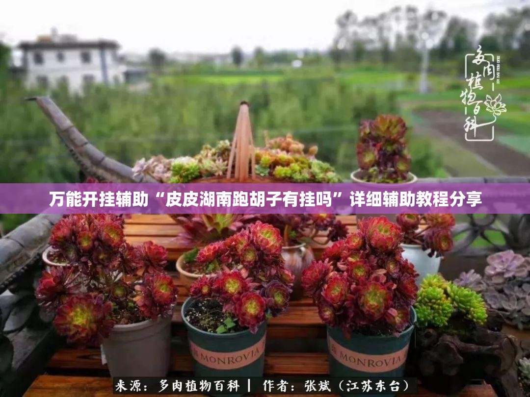 玩家辅助神器:钱塘十三水开挂辅助器是什么弄的”最新辅助详细教程