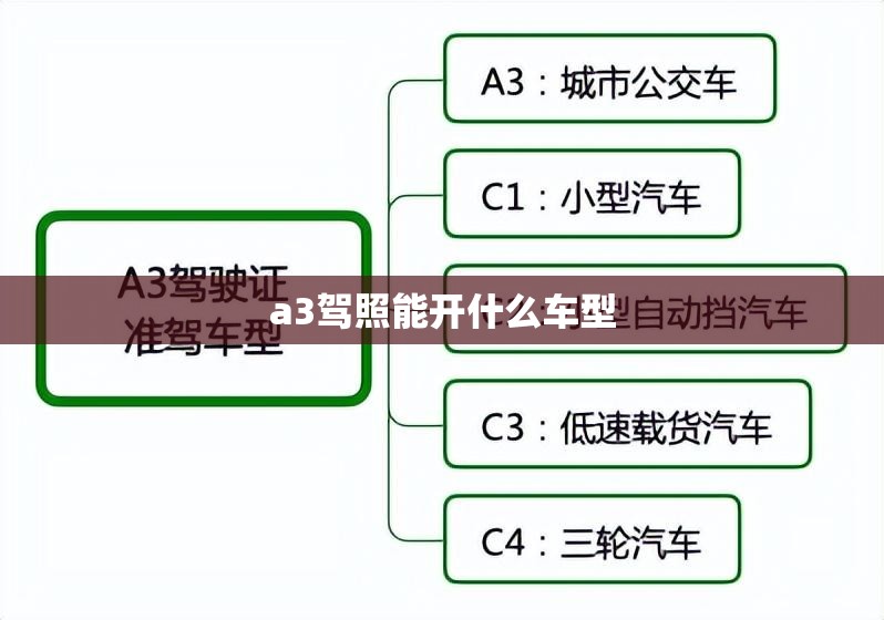 a3驾照能开什么车型,请问a3驾照能开什么车