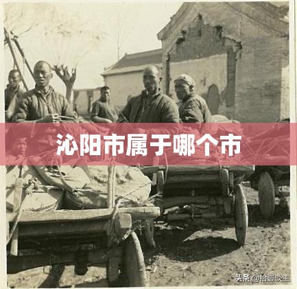 辅助科普实测“拱趴大菠萝怎么拿好牌”原来有挂 难怪会一直输