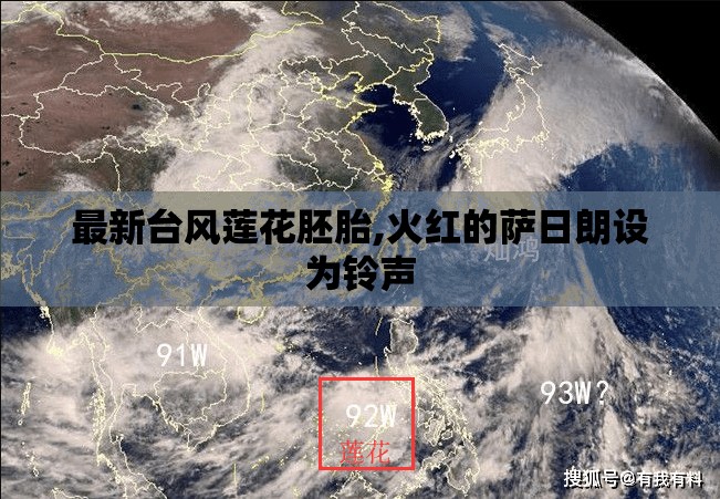 玩家辅助神器:“乐总统有挂吗-最新辅助详细教程