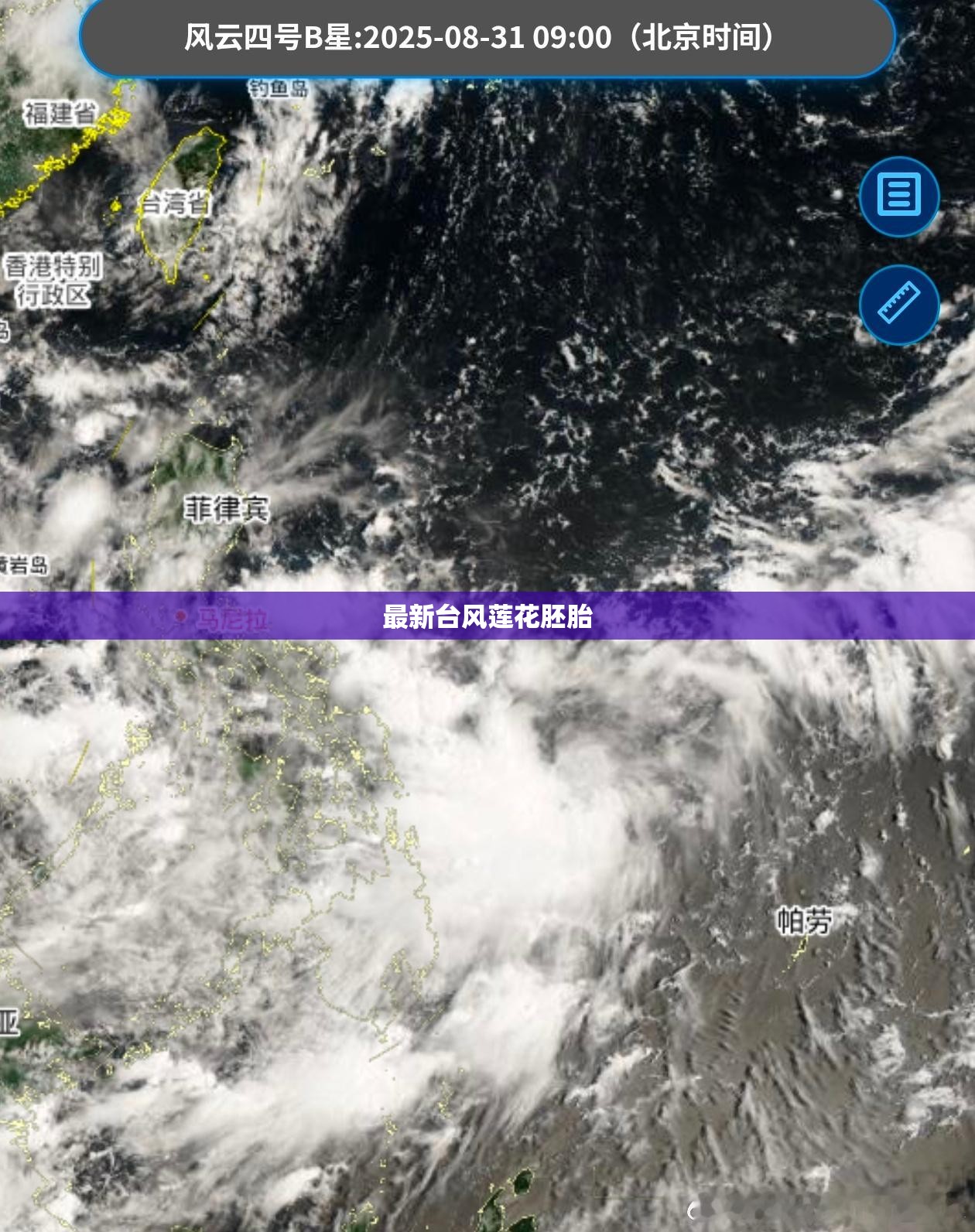 最新台风莲花胚胎,火红的萨日朗设为铃声
