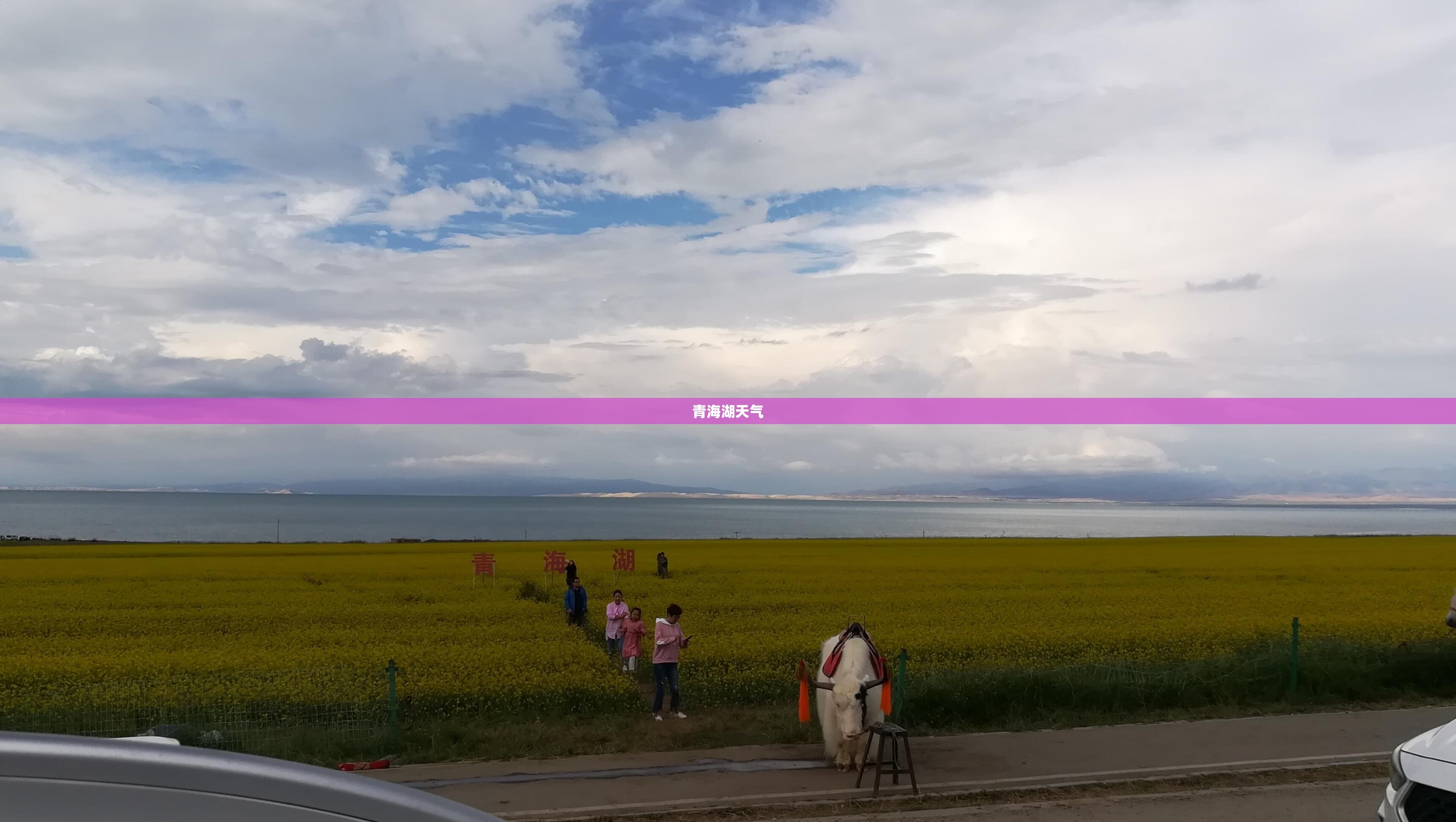 大众朗行2024款费用表,2021大众朗行