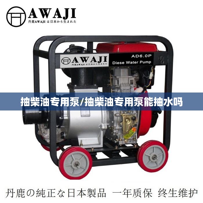 抽柴油专用泵/抽柴油专用泵能抽水吗 抽柴油专用泵/抽柴油专用泵能抽水吗