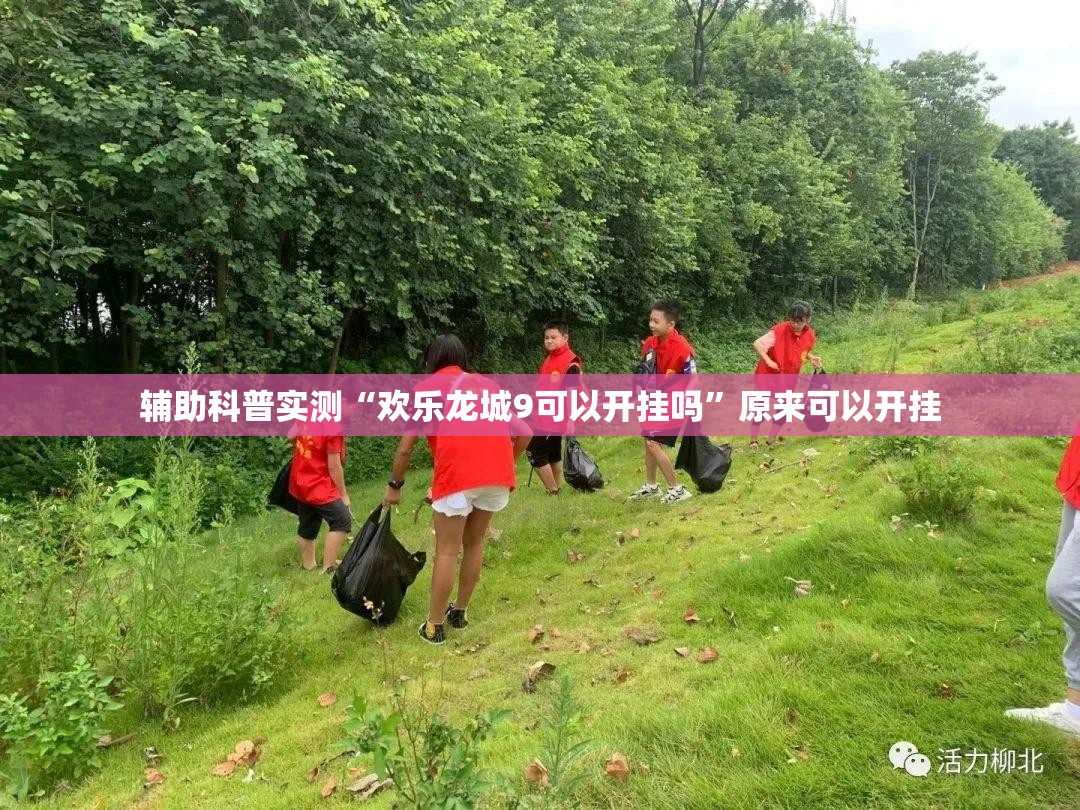 辅助科普实测“欢乐龙城9可以开挂吗”原来可以开挂