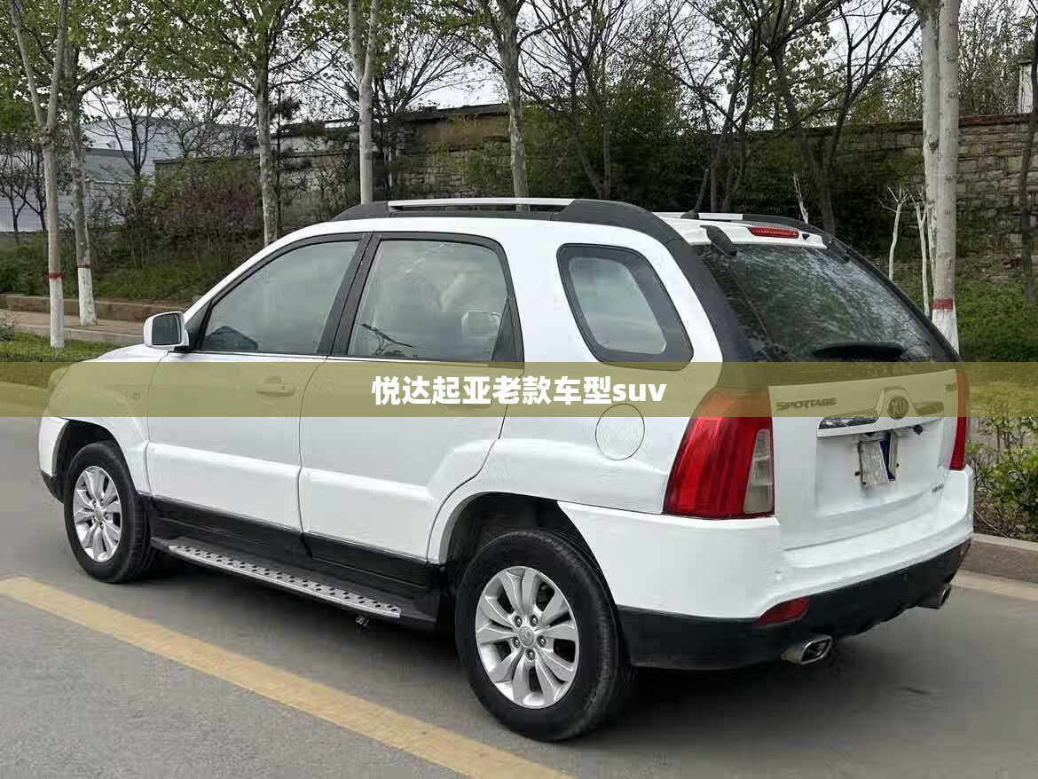 安装程序教程“中至九江麻将开挂教程方法(辅助神器)开挂详细教程