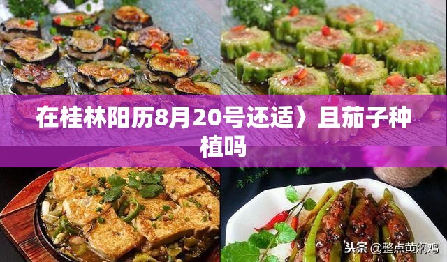 辅助教程分享“天天十三张可以开挂吗”详细辅助软件教程