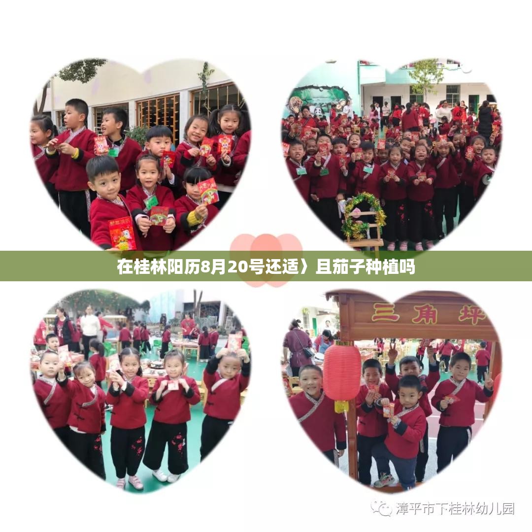 在桂林阳历8月20号还适〉且茄子种植吗 在桂林阳历8月20号还适〉且茄子种植吗