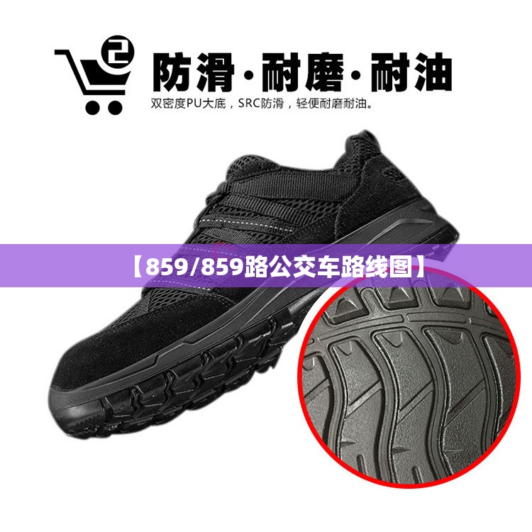 【859/859路公交车路线图】