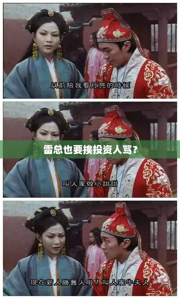 雷总也要挨投资人骂? 雷总也要挨投资人骂?