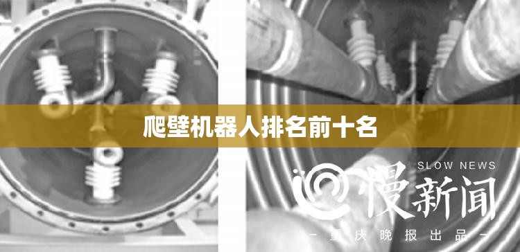 爬壁机器人排名前十名,爬壁式机器人