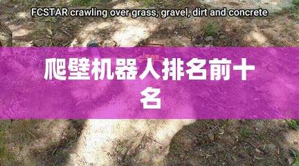 实测分享“天天监利麻将开挂教程”详细辅助教程分享