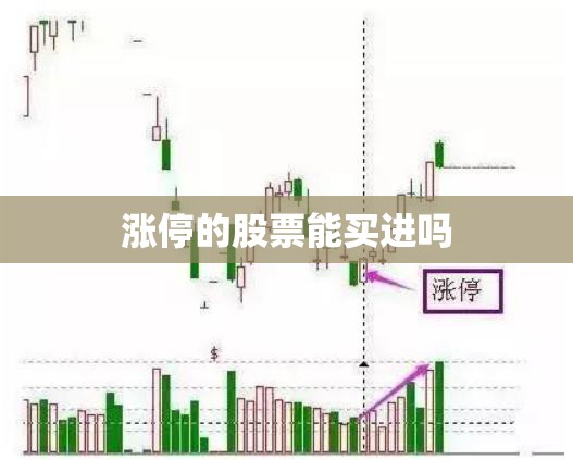 雅马哈R1售价